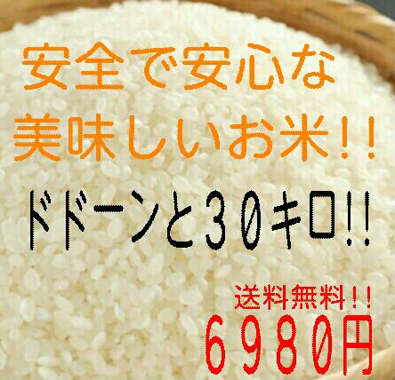 特価30キロ！健康第一主義！安全安心な お米 30㎏ 精米 白米 
