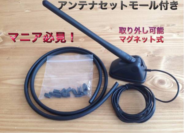 覆面仕様 ユーロアンテナセット 配線モール付き