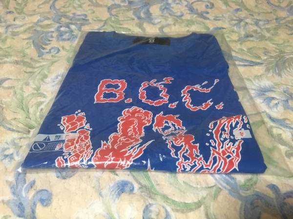 BUMP OF CHICKEN Summerグッズ 20th Tシャツ ブルー S ロッキン