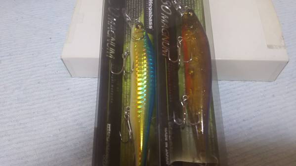 メガバス X80 マグナム ④