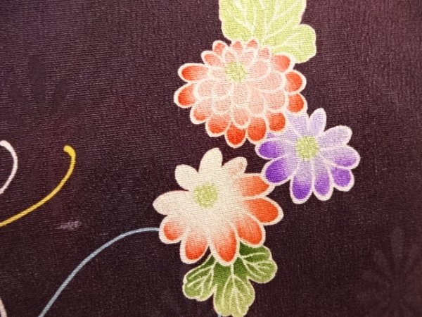 21636# 大正ロマン 紋錦紗檜扇に菊模様長羽織 アンティーク
