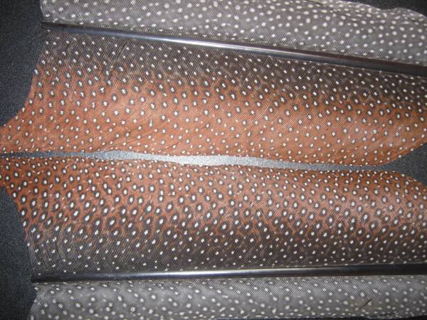 ●●アーガス センターテール pair 大型 新品 Salmon Fly●●