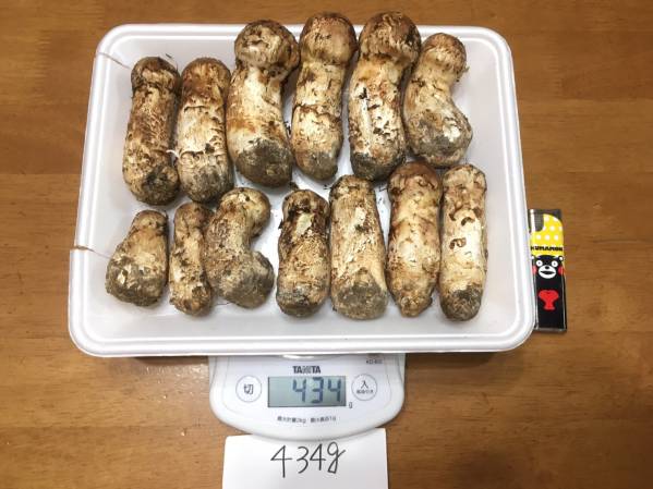 食品 岩手県産松茸
