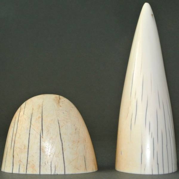 ■本物保証 本象牙 芯持ち 牙先 印材 印鑑 カット材 端材 422g