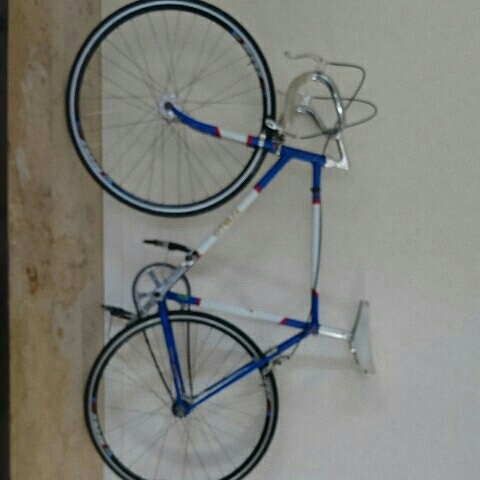 ピスト完成車 Masi coltello ピスト 完成車 【公式通販】