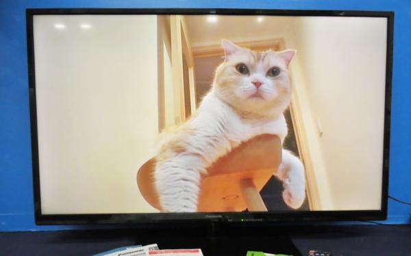 ☆Panasonic TH-L39C60 39型 液晶テレビ パナソニック TV 【公式通販】