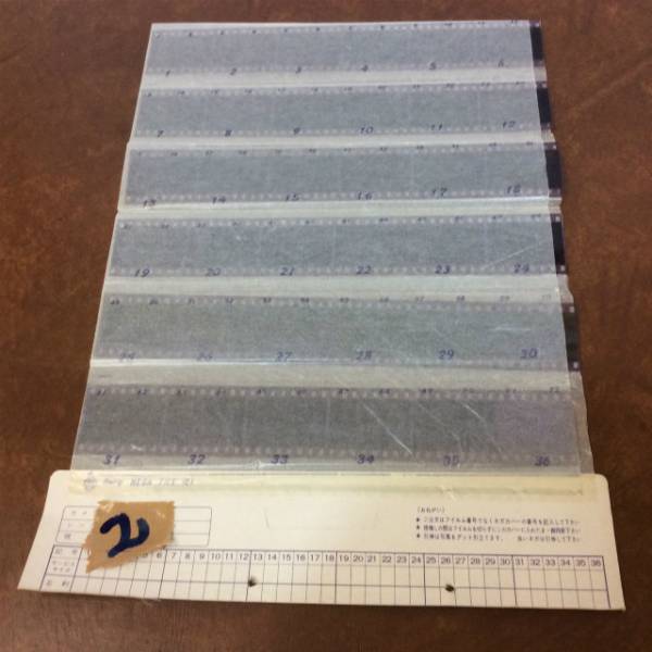 3)レトロ　写真　ネガ　フィルム　古写真　女性 記録