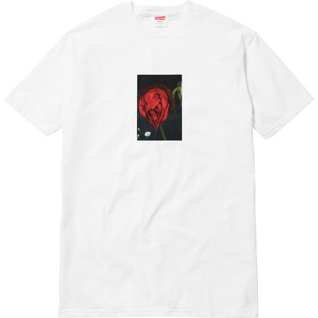Supreme Araki Rose Tee White S ローズ 白 水原希子
