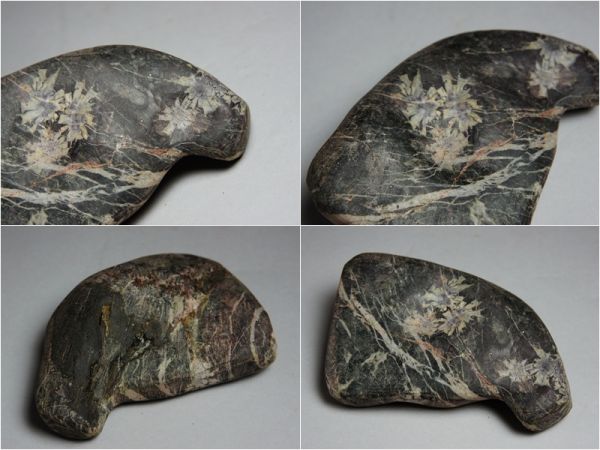 桜』古い菊花石 小振り天然石 鑑賞美術品 【公式通販】