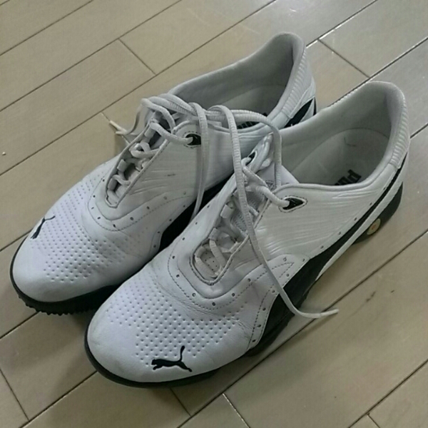 PUMA プーマ ゴルフシューズ 28.5cm 28cm 人気モデル