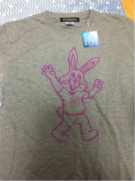 アンサー4 answer4 ぴょん太郎 L Tシャツ 山と道 トレラン Run Answer4