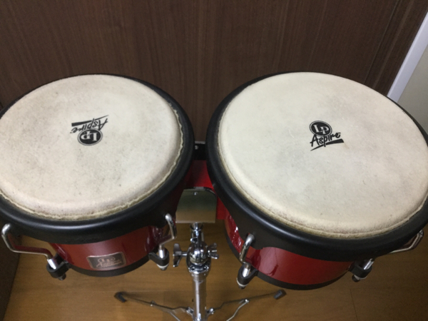 LP Aspire ボンゴ LPA601系 サンバースト ウッド タイ製 LP LPA601 AW
