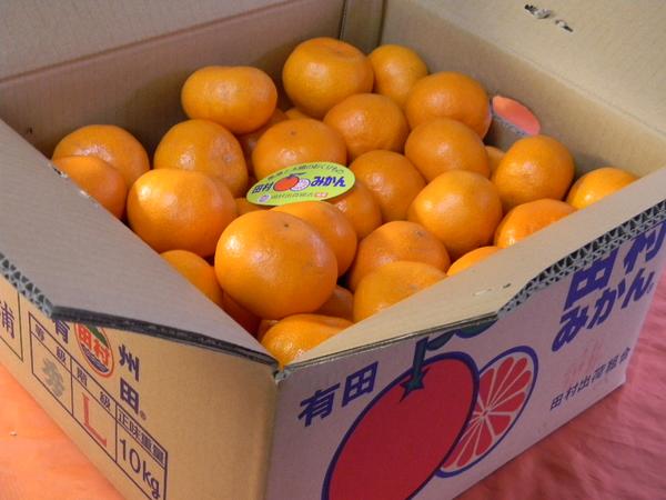 ★販売開始！甘いですよ～有田「田村みかん」青秀Lサイズ１０ｋ