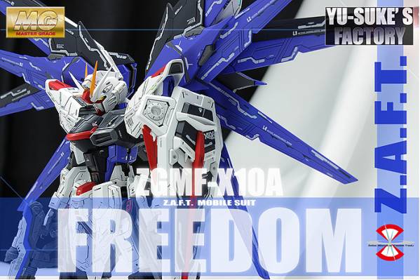MG フリーダムガンダム ver.2.0 徹底改修塗装済完成品 +拡張 xvpbvx