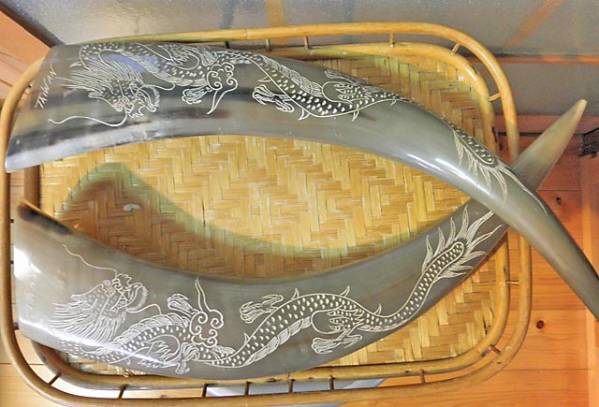 ☆水牛の角「龍彫り」 クショ