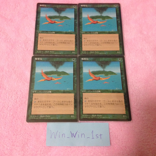 4版黒枠 極楽鳥4枚セット 極楽鳥 【公式通販】
