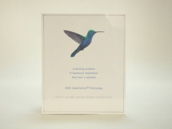 iQOS アイコス 本体 ホワイト 新品 未開封 未登録_2