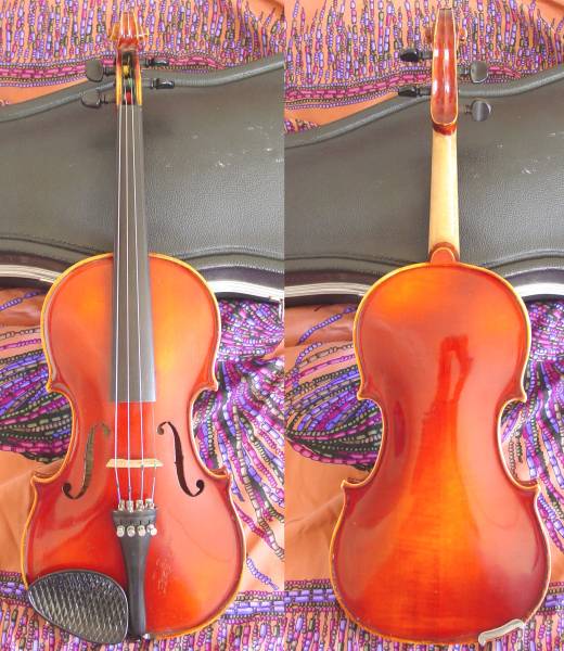v530570851.5