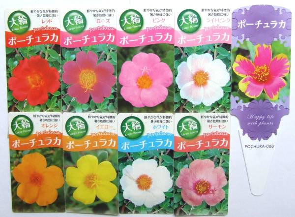 農園】□大輪ポーチュラカ4色ミックス□花苗 20ポット 生産農園(苗 