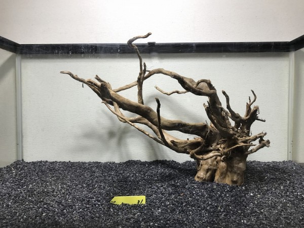 81おすすめ！良形ブランチウッド大型流木！W55×D33×H38ｃｍ検ADA水草水槽