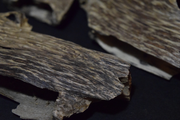 ベトナム産 沈香 計 41.6g ☆ 香木 伽羅 agarwood 仏具 聞香