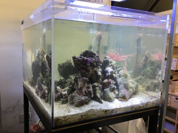 カンテツ製 90cmアクリル水槽 13ミリ厚 鉄製ダイ 濾過層 セット 