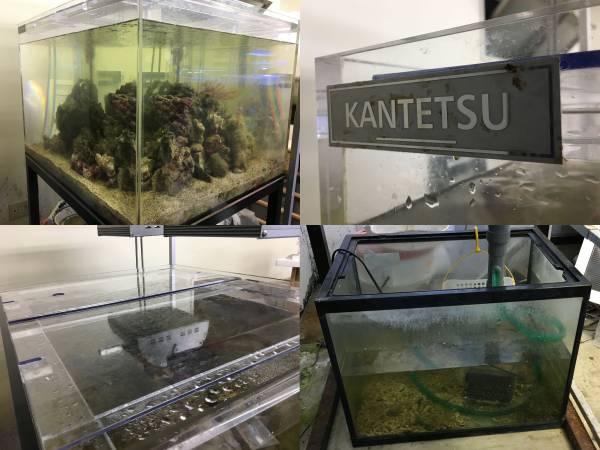 カンテツ製 90cmアクリル水槽 13ミリ厚 鉄製ダイ 濾過層 セット 