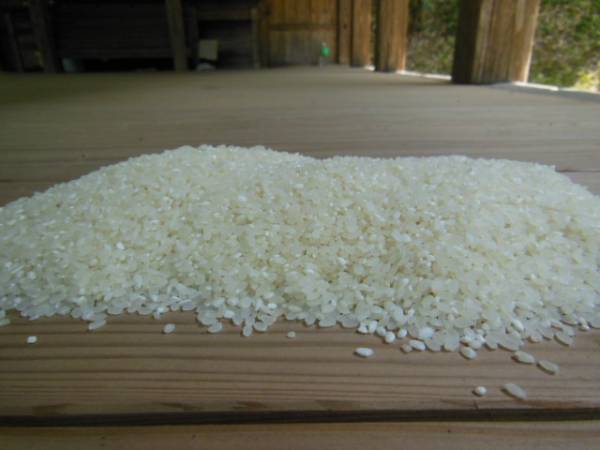 農家直送！国産１０割　訳あり（中米）白米３０ｋｇ（発送方法が変わりました。）