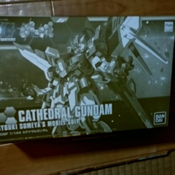 PB限定 未組み立て HGBF 1/144 カテドラルガンダム_1