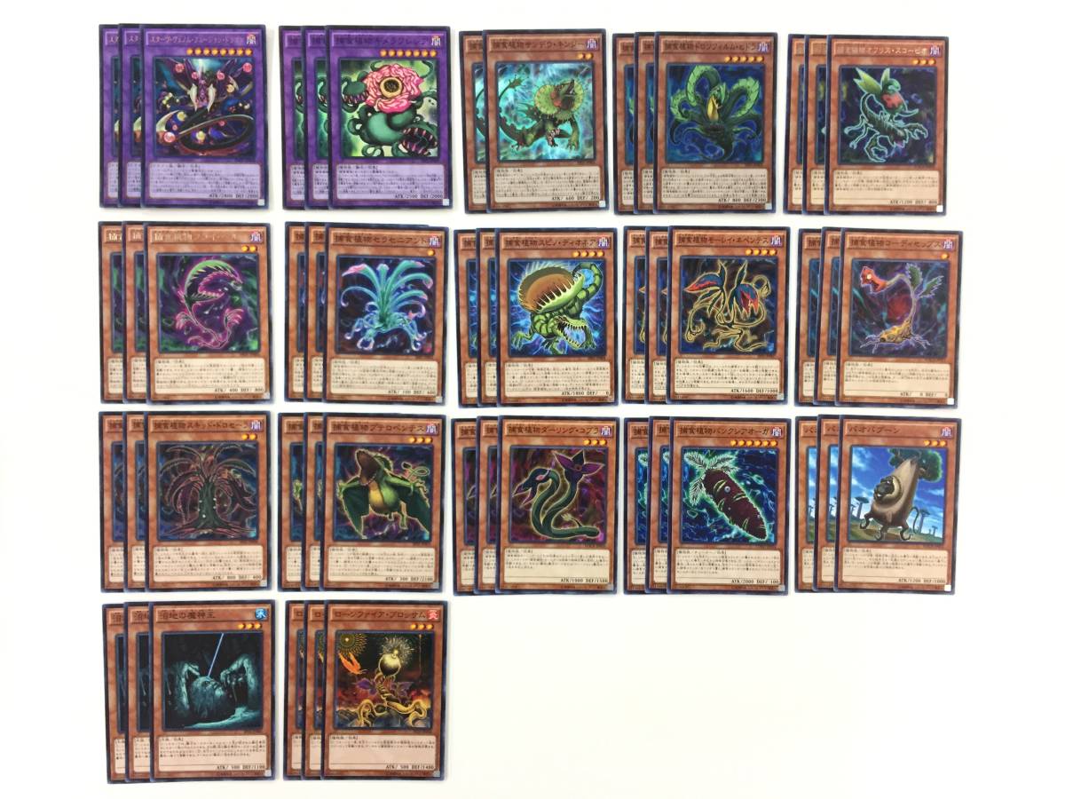 遊戯王 捕食植物 プレデタープランツ デッキパーツ 高レアリティ 旧弾 