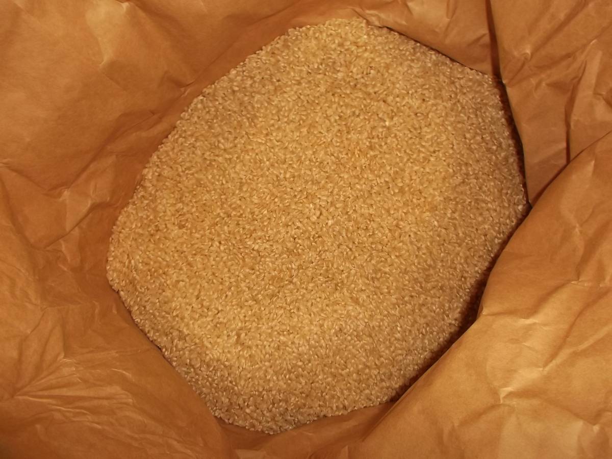 玄米 30kg 幻の米 新米 多古米 多古米コシヒカリ 令和7年産 | 安い商品 