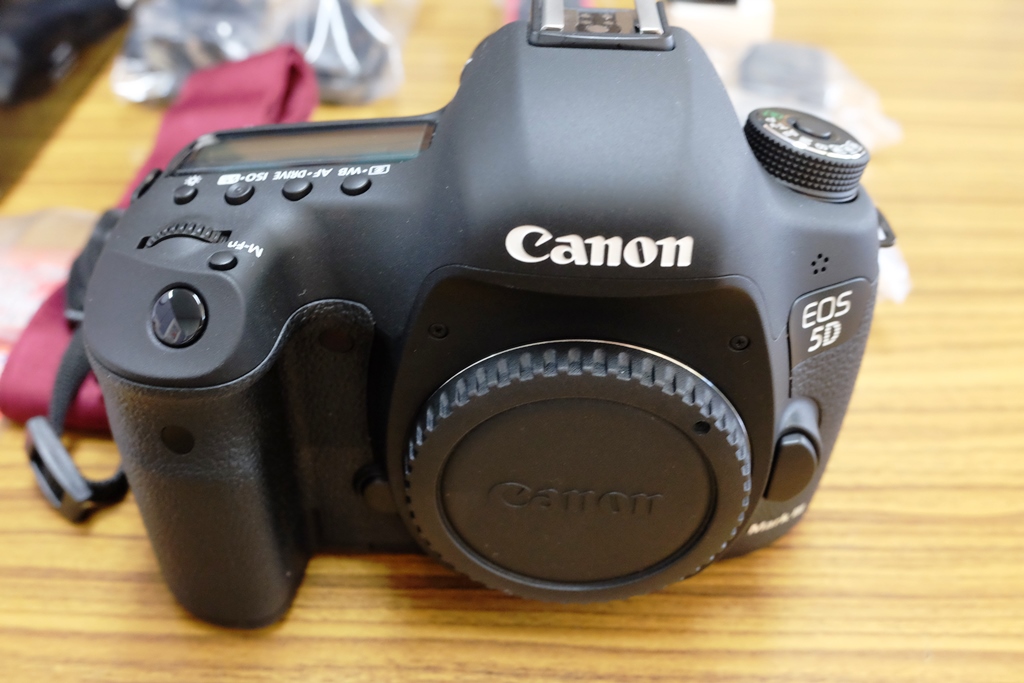 総ショット数約5000 かなり美品 Canon デジタル一眼レフカメラ EOS
