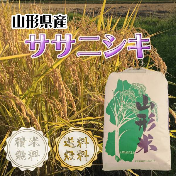 【新米 29年産】山形県産ササニシキ１等玄米30kg① 送料無料 精米無料_1