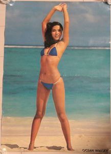 浅野ゆう子 水着のYahoo!オークション(旧ヤフオク!)の相場・価格を見る