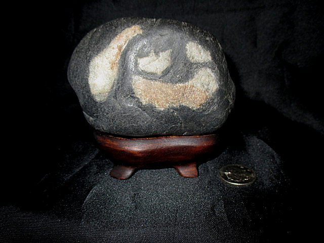 v494253355.2