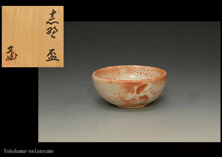 小山冨士夫（古山子）最上位作 小山富士夫 共箱 保証 小山冨士夫 絵
