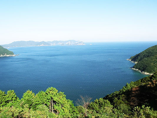 【大分県豊後水道産】カマス3ｋｇ_4