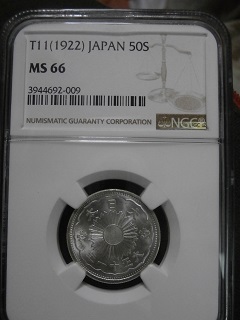 u175212786.1