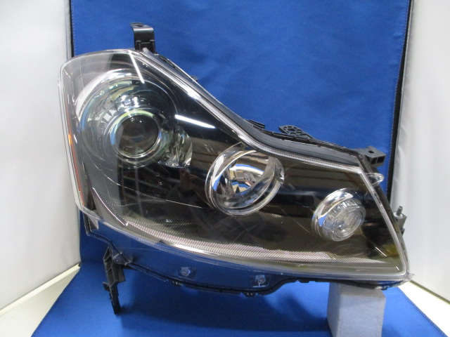 s461418707.1