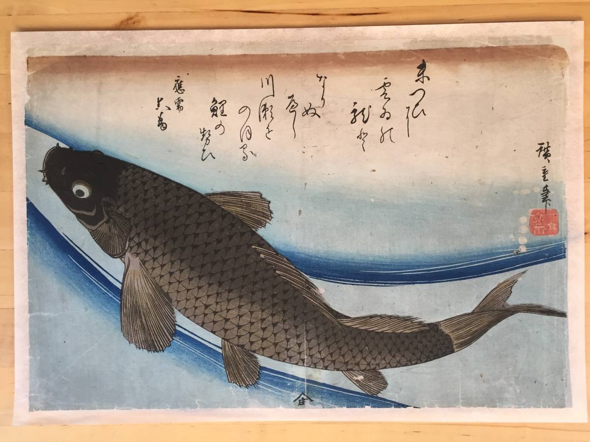 歌川広重 : 歌川広重魚づくし 鯉の図大判 摺優良 昭和期 大 魚づくし 