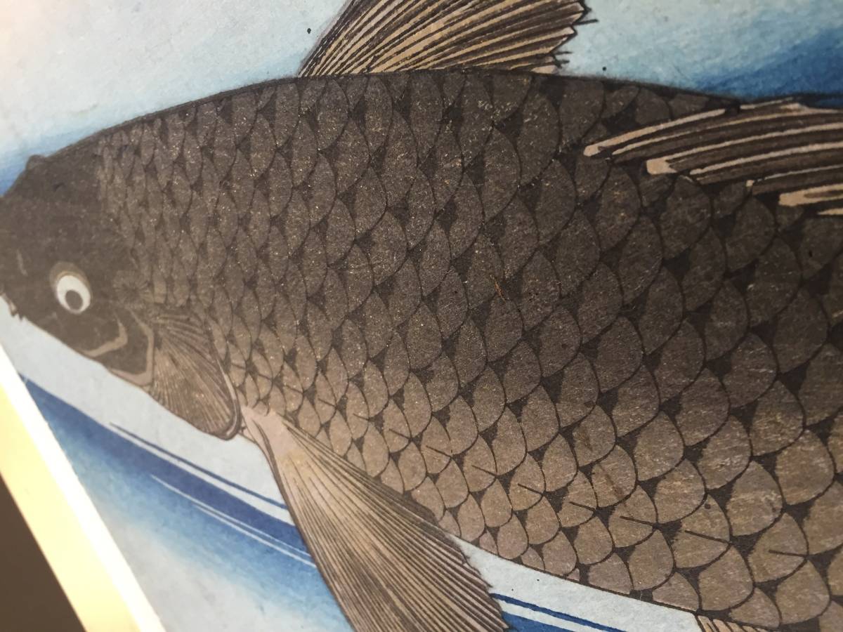 歌川広重 : 歌川広重魚づくし 鯉の図大判 摺優良 昭和期 大 魚づくし 