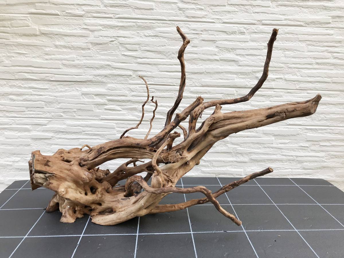 厳選極上 ブランチウッド アク抜き大型流木 90cm水槽以上推奨８