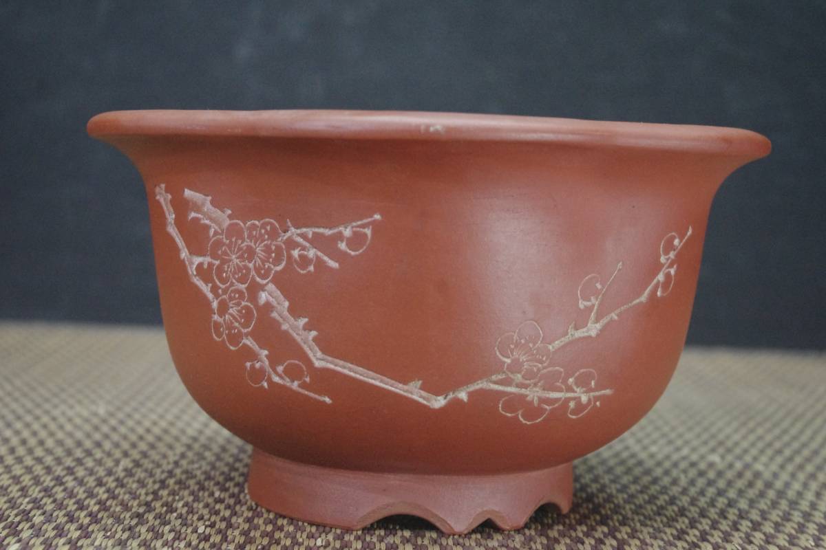 ☆盆栽日和☆ 中国古盆器 朱泥釘彫り梅花・漢文図