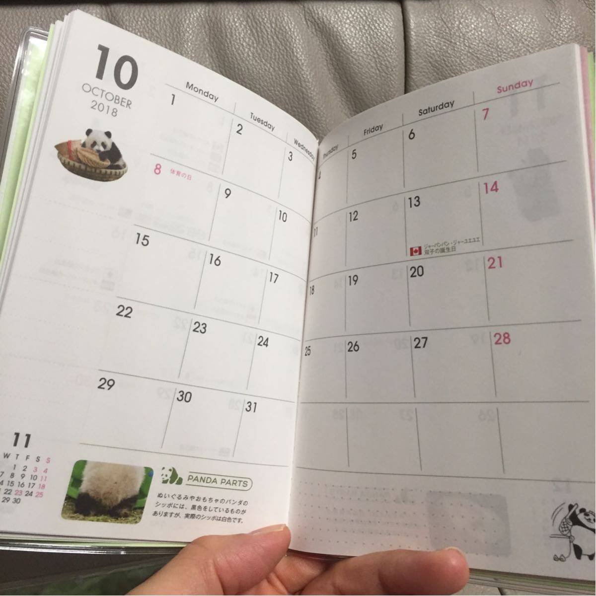 パンダ 福袋 いろいろ5点セット ☆新品☆_10