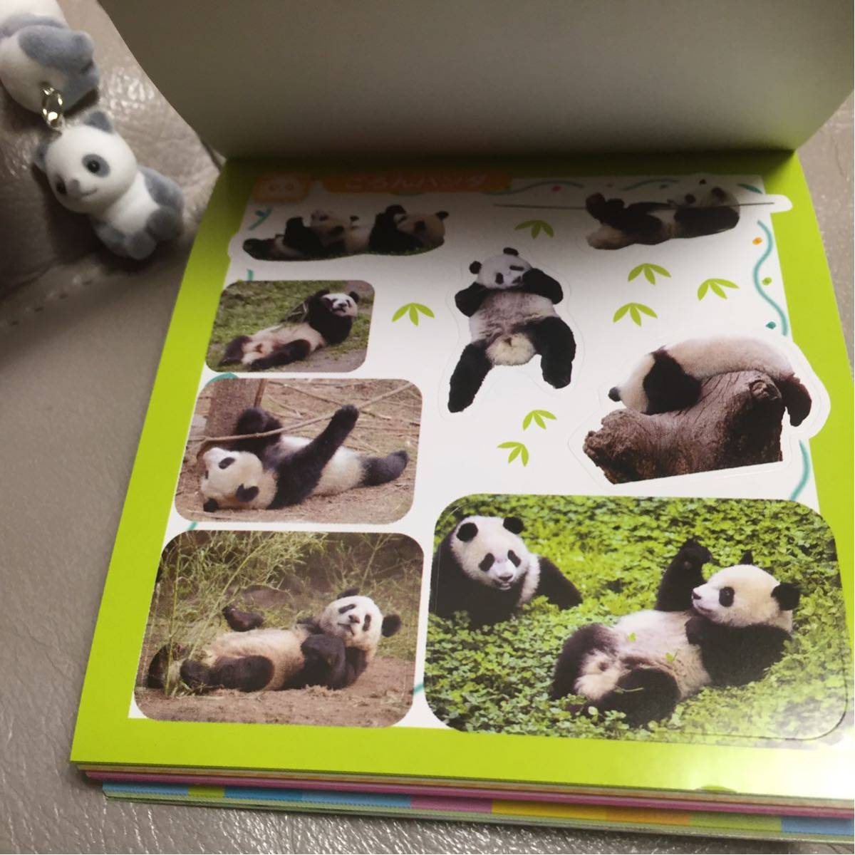 パンダ 福袋 いろいろ5点セット ☆新品☆_8