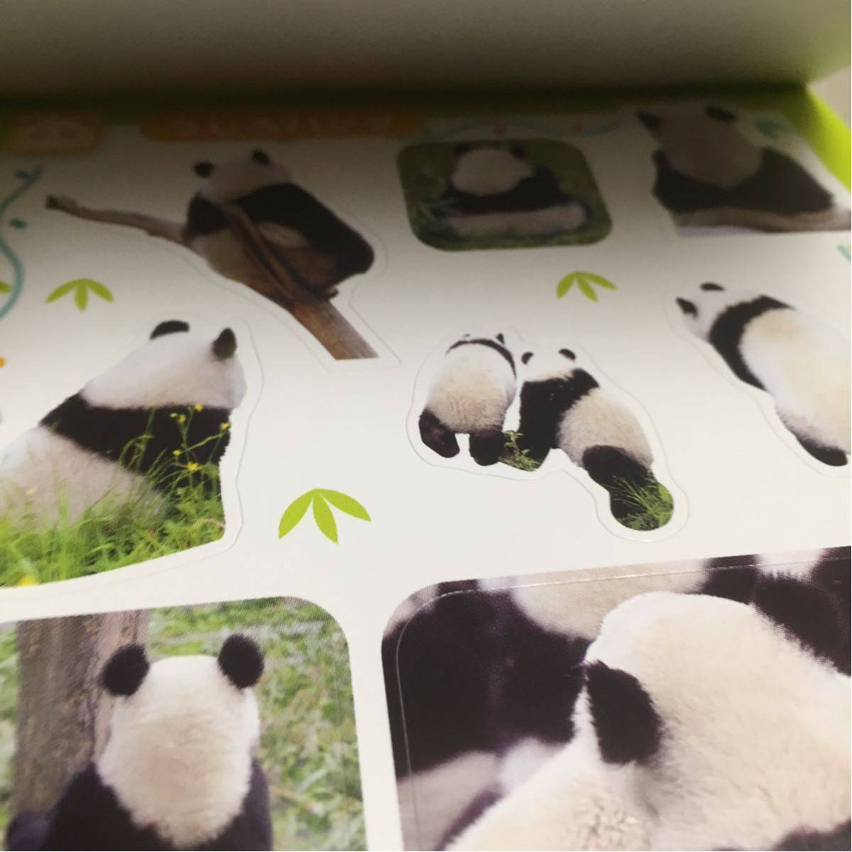 パンダ 福袋 いろいろ5点セット ☆新品☆_9