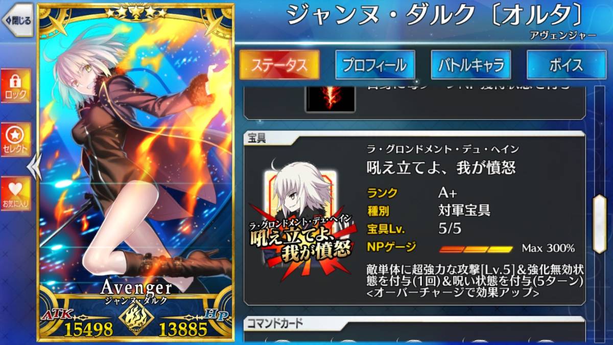 Fate/Grand Order FGO 引退 アカウント 星5 19種 【公式通販】