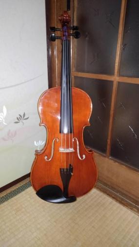 カルロジョルダーノ VL-2 : giordano 0 ビオラアウトフィット Carlo 16