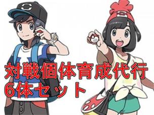 ポケモン ウルトラサンムーン データ 育成代行 6体set レート可 色違い 配信等可 ニンテンドー3ds専用ソフト 売買されたオークション情報 Yahooの商品情報をアーカイブ公開 オークファン Aucfan Com