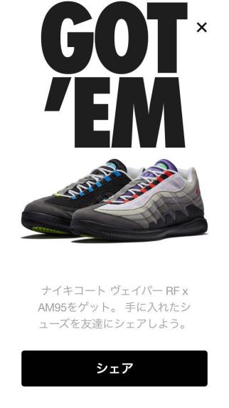  26.5cm NIKE COURT VAPOR RF &times; AM95 GREEDY ナイキ コート ヴェイパー(26.5cm)｜売買されたオークション情報、yahooの商品情報をアーカイブ公開 - オークファン 26.5cm